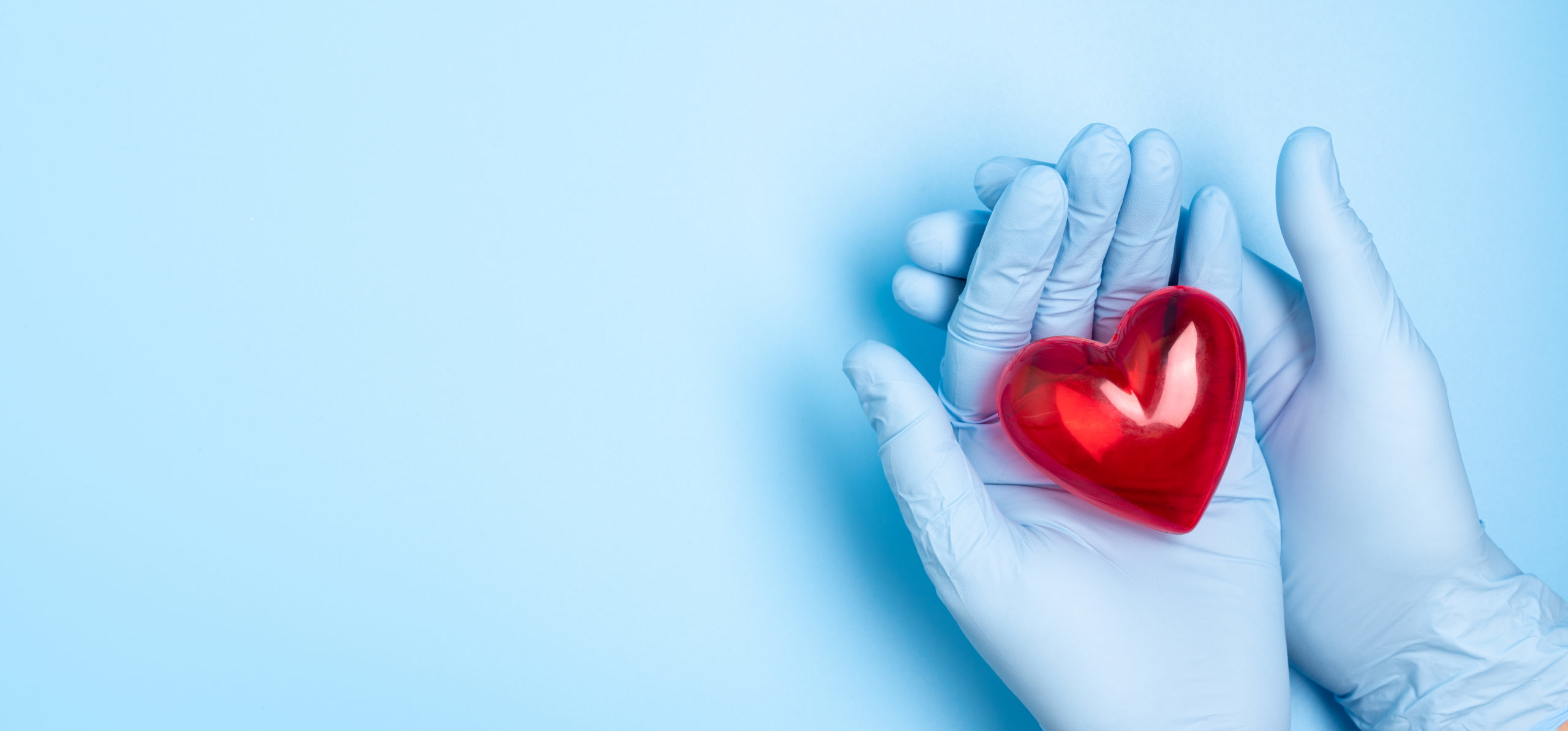 The hand wearing blue medical glove holding a red heart